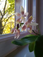 IMG_20211006_133941.jpg