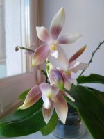 IMG_20211006_134721.jpg