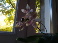 IMG_20211006_134824.jpg