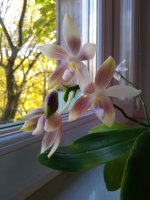 IMG_20211006_133958.jpg