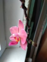 IMG_20211005_144120.jpg