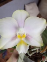 IMG20211010111939.jpg