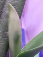 IMG20211016211719.jpg