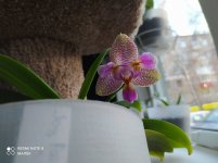IMG_20211017_160531.jpg