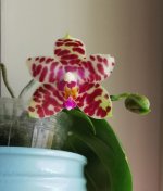 IMG_20211020_115855~2.jpg