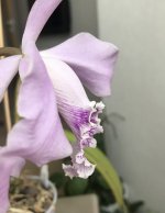 60E34704-3D38-4A99-8D65-E2AB44867501.jpeg
