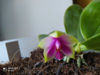 IMG_20211023_094510.jpg