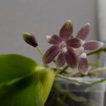 IMG_3480.jpg