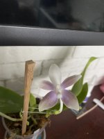 57204DAB-A060-4F07-9DDE-DB357244BA0B.jpeg