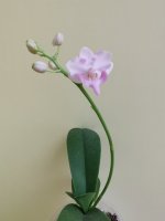 IMG_20211027_124708.jpg