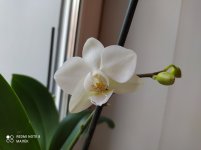 IMG_20211029_114041.jpg