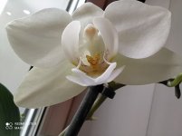 IMG_20211029_114058.jpg