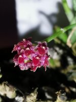 IMG_20211031_234726.jpg