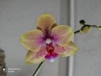 IMG_20211102_221224.jpg