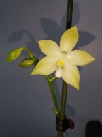IMG_20211103_113645.jpg