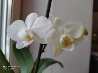 IMG_20211105_113228.jpg