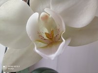 IMG_20211105_113319.jpg