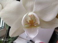IMG_20211105_113326.jpg