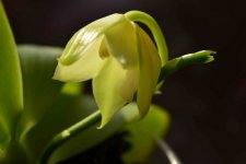 7581_1.jpg