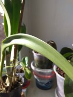 IMG_20211107_105547.jpg