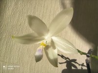 IMG_20211108_132031.jpg