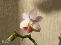 IMG_20211108_132145.jpg