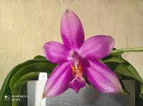 IMG_20211108_132326.jpg