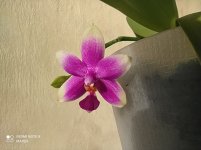 IMG_20211108_132448.jpg