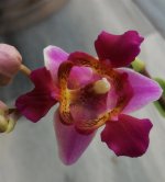 IMG_20211028_211307.jpg