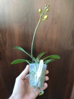 IMG_20211110_095715.jpg