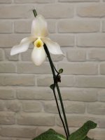 IMG_20211111_171720.jpg