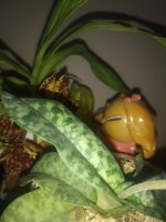 IMG_20211111_065903.jpg