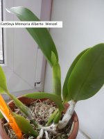 DSCN8281.JPG