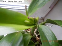 DSCN8278.JPG