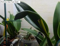 DSCN8279.JPG