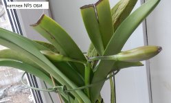 DSCN8280.JPG