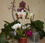 DSCN8271.JPG