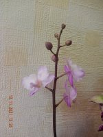 DSCN8274.JPG