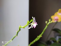 IMG_20211114_144945.jpg