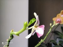 IMG_20211114_145007.jpg