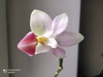 IMG_20211114_145028.jpg