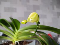 IMG_20211114_123126.jpg