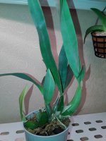 20211114_151821.jpg