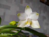 IMG_20211115_130420.jpg