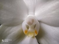 IMG_20211115_130515.jpg