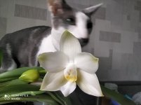 IMG_20211115_130522.jpg