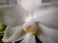 IMG_20211115_130534.jpg