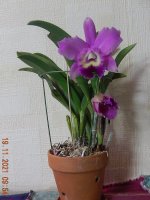 DSCN8285.JPG