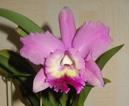 DSCN8287.JPG