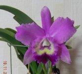 DSCN8288.JPG